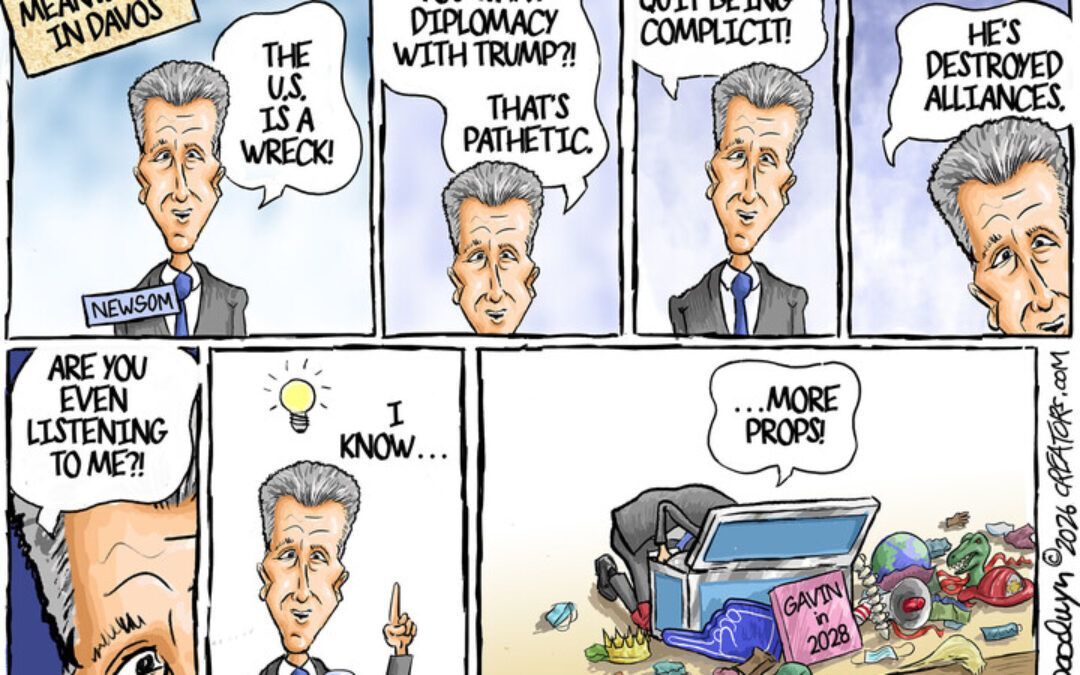 BS daily political cartoons: An election is like a box of chocolates