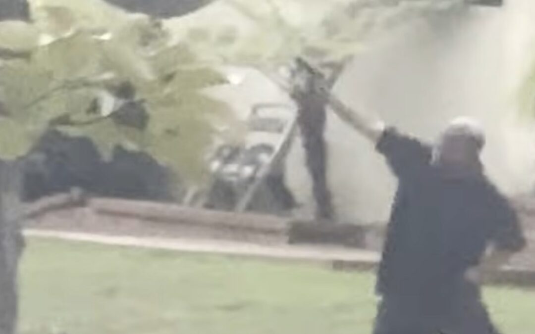 Satisfying moment guy shooting at police chopper becomes Scooby snack for K-9 hero