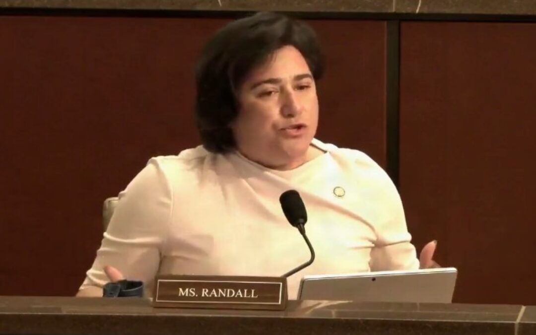 House hearing’s finest moment: Dem lawmaker wants to focus on ‘White men’ NOT Somali fraudsters