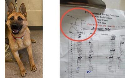 Sick anti-ICE thugs reportedly even targeting law enforcement DOGS!