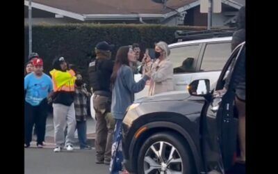 Pepper spray ‘the cure’ when ‘a shriek of Karens’ surround ICE agents