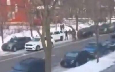 Legacy media melts down as DHS releases damning new video of ICE shooting