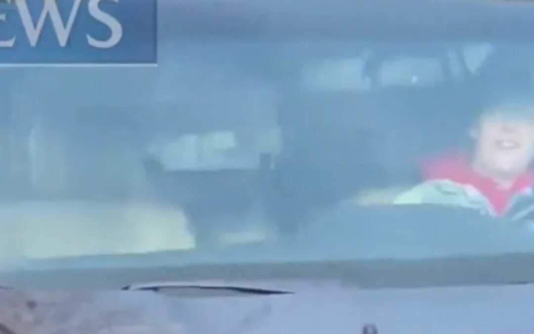 New video shows ICE agent’s perspective seconds before Minneapolis shooting