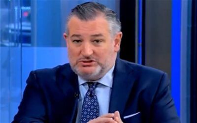 Ted Cruz vows to fight Somali fraud with yet another hearing – do something, bro!
