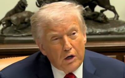 Trump sues IRS for $10 BILLION over private info leaked to the media