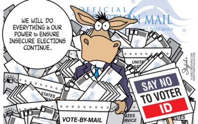 BS Daily Political Cartoons: Kamala re-renames website