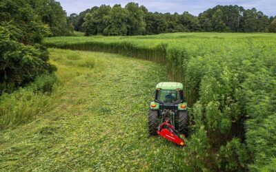 U.S. farm bill drops, outlines 5-year funding