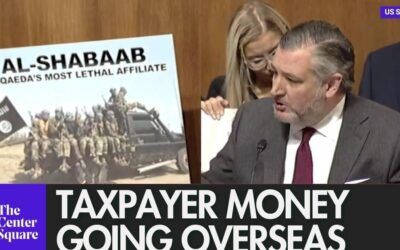 WATCH: Senators slam fraud, call for welfare scrutiny in Minnesota