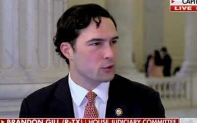 Brandon Gill maps out what GOP should do to counter Democratic turnout