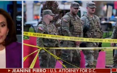 Jeanine Pirro takes fire after  Second Amendment comments
