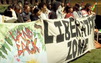 Exclusive: Anti-ICE movement paving way for ‘armed militancy’ among leftists, terrorism analyst warns