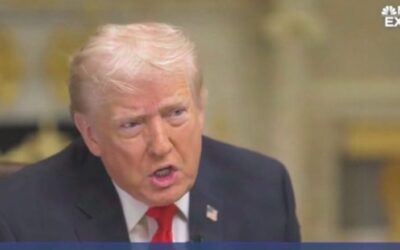 Trump says immigration enforcement could use ‘softer touch’