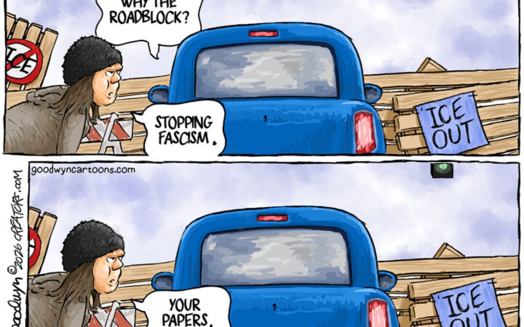 BS daily political cartoons: I can see why you are against voter ID