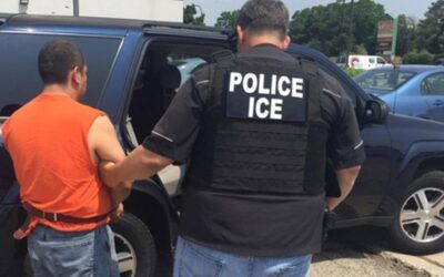 Exclusive: ICE nabs illegal alien trucker licensed by sanctuary New York