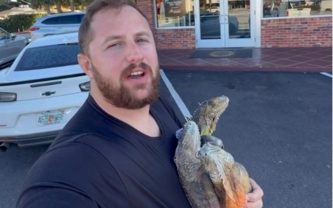 Florida pizza joint fires up full-blown meltdown for offering iguana topping