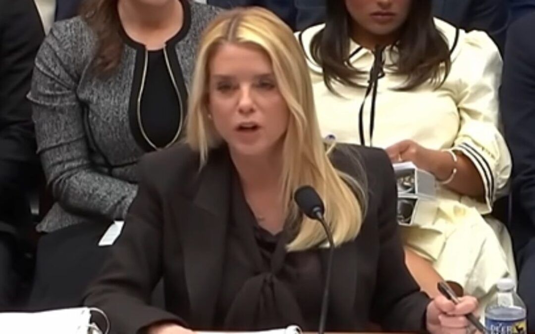 Democrats storm out in showdown with Bondi: ‘we all just f*cking had it’