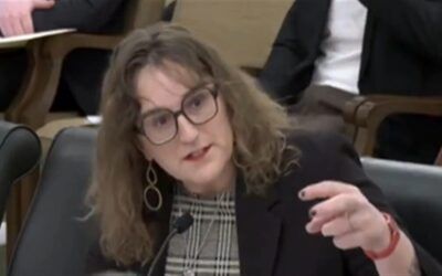 Trans Minnesota Dem lawmaker argues ‘queer’ kids need porn access for ‘educational’ purposes