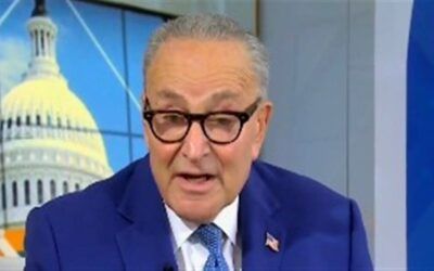 ‘Ridiculous:’ Republicans reject Dems’ 10 demands for DHS reforms