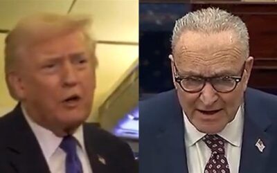 Schumer cries foul when Trump reveals Dem leader suggested renaming Penn Station after him