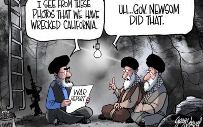 BS political cartoons of the week: Gavin Newsom did that