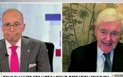 Newt Gingrich says Democrats just gave Republicans ‘a huge gift’