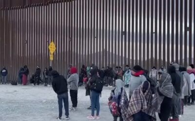 An incredible share of migrant households use welfare, study finds