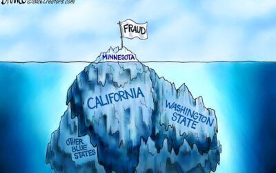 BS daily political cartoons: Fraud flag