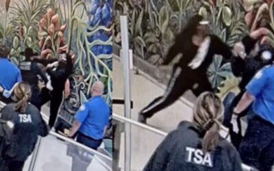 California man allegedly punches two TSA officers, seriously injures cop at Love Field