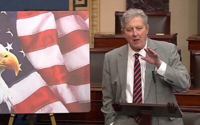 ‘Smoking a doobie’: Lawmaker torches media over immigration voting denial