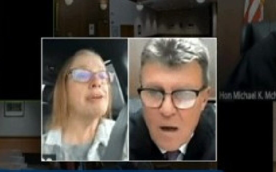 ‘Do you think I’m that stupid?’ Lady swears to judge she’s not driving in off-the-rails zoom court