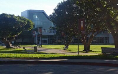 Highly educated people like would-be Trump assassin more likely to favor political violence