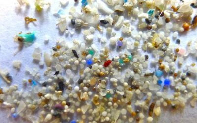 Trump admin declares war on microplastics in drinking water