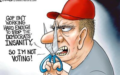 BS daily political cartoons: So, I’m not voting