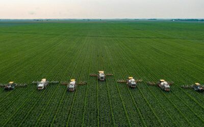 U.S. House to vote on five-year Farm Bill this week