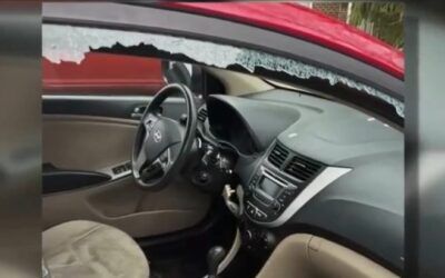 Blue state allows two 11-year-olds who tried to steal multiple cars to walk free