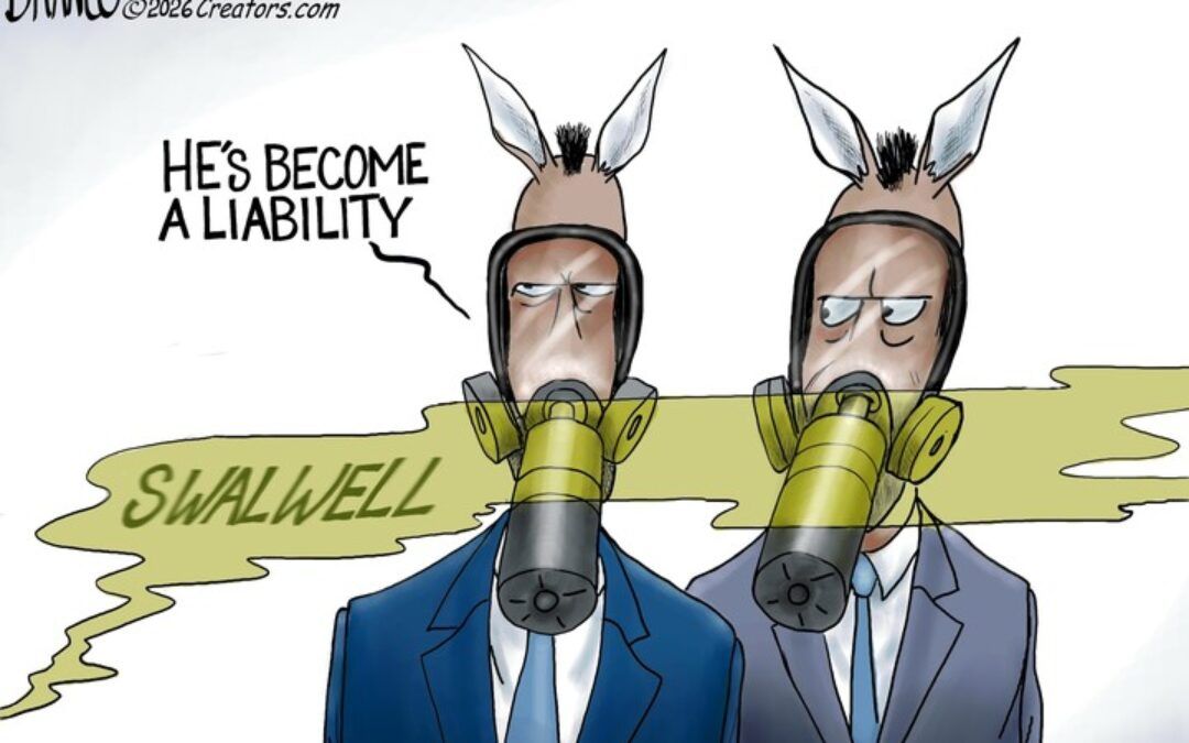 BS daily political cartoons: Why do you ask?