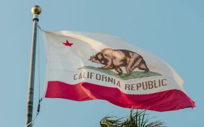 Larry Elder: California’s think-alike Dems cancel debate over ‘lack of diversity’