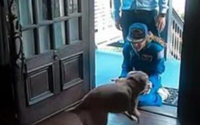 NASA star’s tail-wagging reunion melts hearts, Artemis hero’s best welcome yet