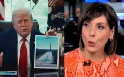 NY Times journo whines over Lincoln reflecting pool savings: ‘Doesn’t Trump have anything better to do?’