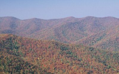 Regulations may stall extraction of newly discovered critical mineral deposits