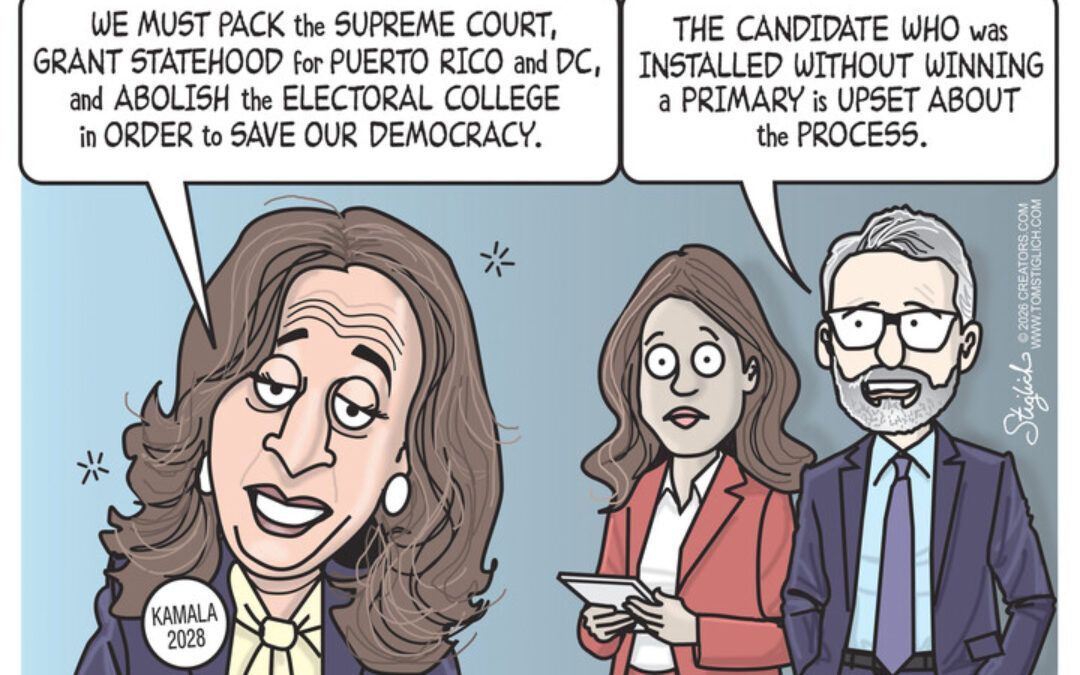 BS political cartoons of the week: Candidate installed without winning a primary is upset