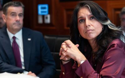 CIA spooks spied on Tulsi Gabbard’s team as it probed deep state, whistleblower alleges