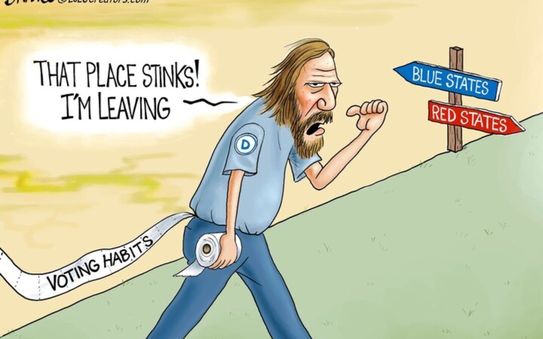 BS daily political cartoons: But I have a plan