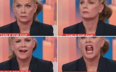 ‘Surrounded by idiocy!’ CNN panelist erupts in wild on-air rant over Spencer Pratt praise