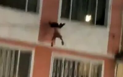 Cigarette run from Hell: Toddler dangles from 4th-floor balcony, falls after dad steps out