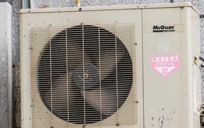 Deputy mayor of Paris lashes out at Americans for AC after Europeans get jealous while visiting for World Cup