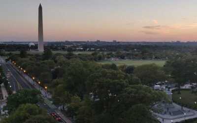 ‘He came and stab me’: Food truck pirates turn National Mall into a lawless mess