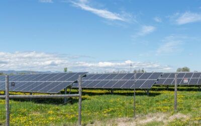 Solar doesn’t use much farmland — until you define what ‘much” really means