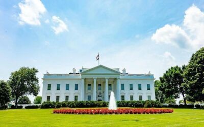 America 250: Celebrating presidential pets