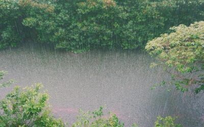 Tropical storm Arthur hammers Louisiana; flood threat persists along Gulf Coast